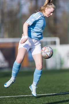 Bild 216 - F Hamburger SV 3 - Blau-Weiss 96 : Ergebnis: 5:1